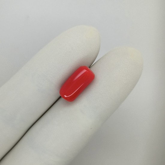 Coral (Moonga) 5.85 Ct Best Quality